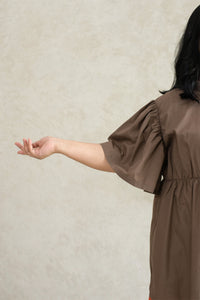 Avya Dress in Brown